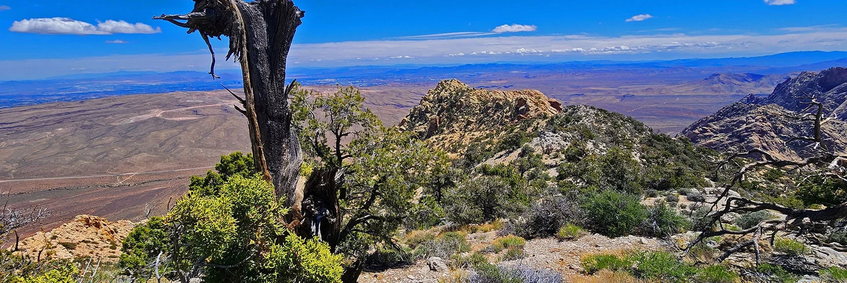 Descending Toward Indecision Peak's Double Summits | Indecision Peak Summit | Rainbow Mountain Wilderness, Nevada