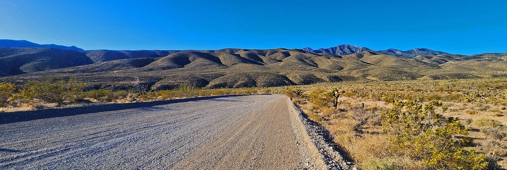 Begin by Heading Up Harris Springs Rd. Toward Those Peaks | El Bastardo Peak | La Madre Mountains Wilderness, Nevada