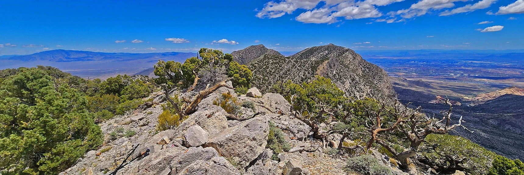 Summit View Toward Burnt, El Padre & La Madre Peaks | El Bastardo Peak | La Madre Mountains Wilderness, Nevada