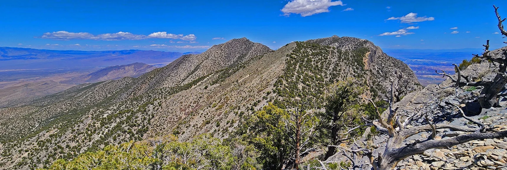 Burnt Peak Immediately Ahead. Will Descend It's Approach Ridge | El Bastardo Peak | La Madre Mountains Wilderness, Nevada
