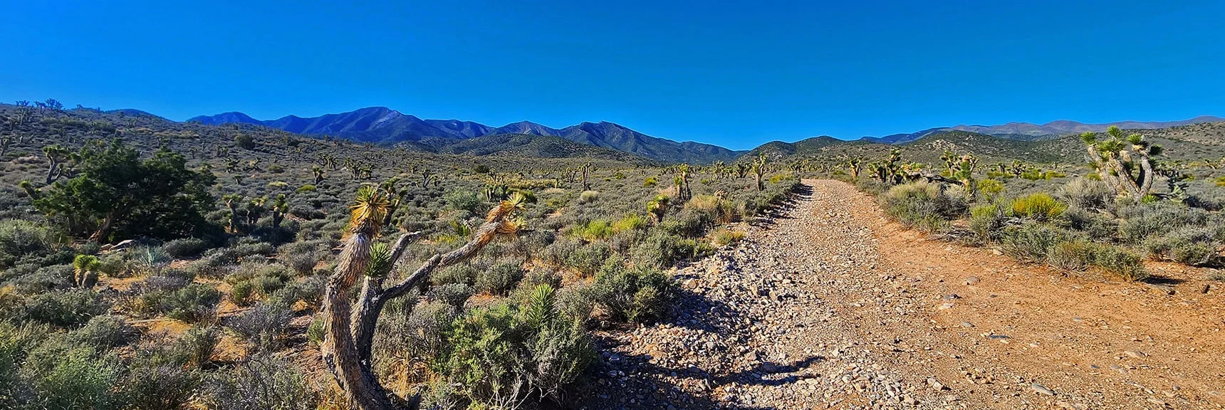 Turn onto 4WD La Madre Mt. Approach Road, Will Take Right into Valley Ahead | El Bastardo Peak | La Madre Mountains Wilderness, Nevada