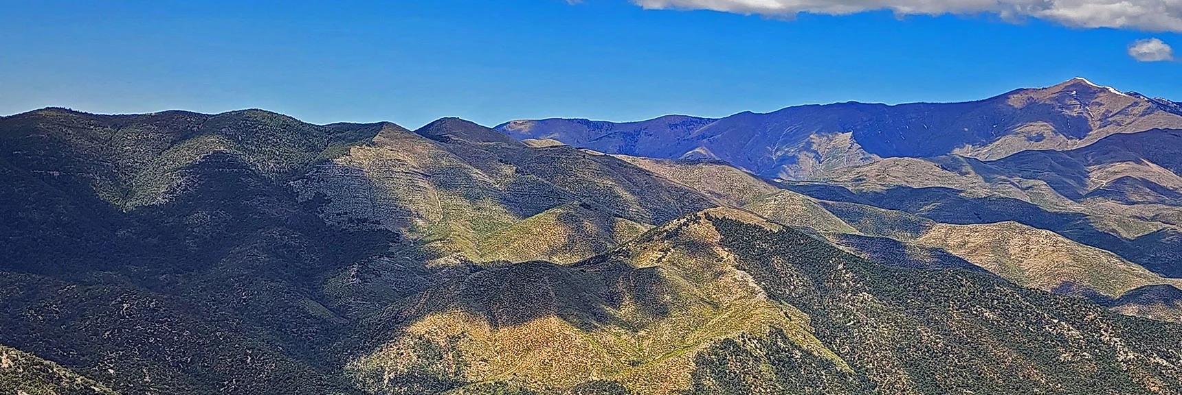 Wilson Ridgeline with Griffith Peak at Sexton Ridgeline Summit. | El Bastardo Peak | La Madre Mountains Wilderness, Nevada