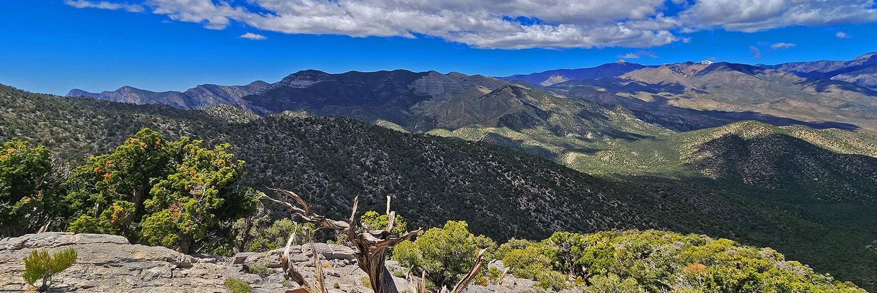 Higher View of Mt. Charleston Wilderness (right). La Madre Ridgeline (left). | El Bastardo Peak | La Madre Mountains Wilderness, Nevada