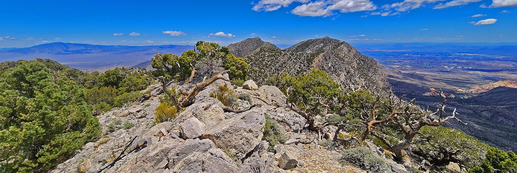 Pathless Adventure to a Sweeping View of Red Rock Canyon Below to the South | El Bastardo Peak | La Madre Mountains Wilderness, Nevada