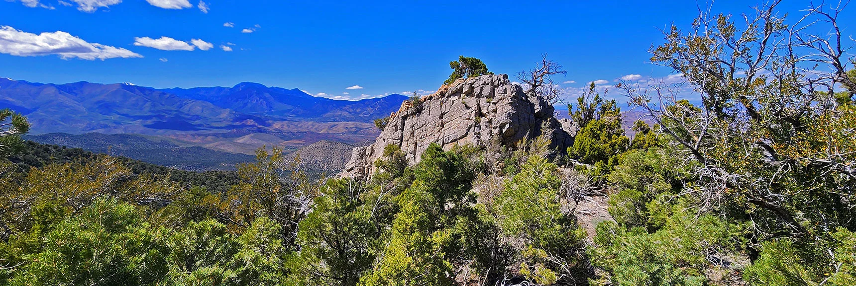 One of a Few Rock Scrambles During Burnt Peak Ridgeline Descent | El Bastardo Peak | La Madre Mountains Wilderness, Nevada