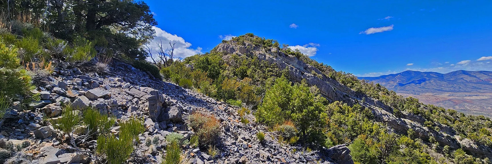 View Back Toward El Bastardo Peak While Approaching Burnt Peak. | El Bastardo Peak | La Madre Mountains Wilderness, Nevada