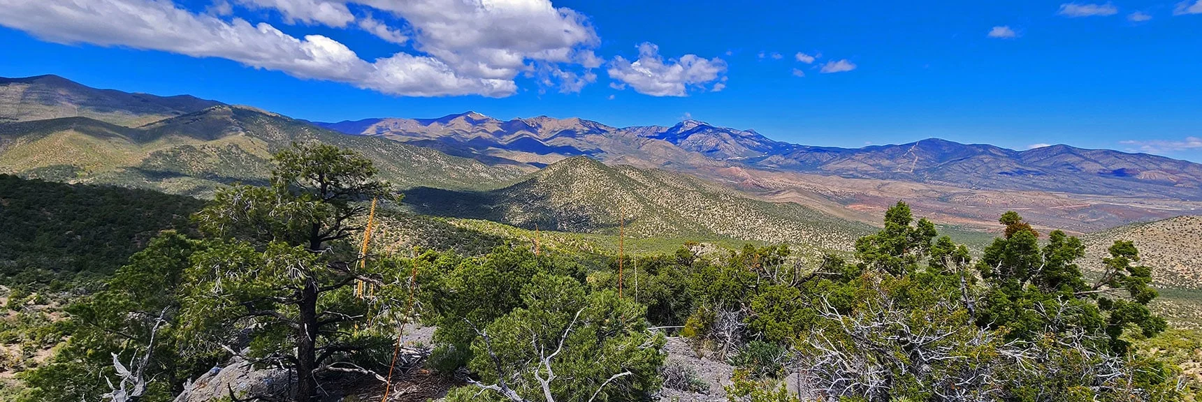 Expansive Views Open on Approach Ridge. Mt. Charleston Wilderness View. | El Bastardo Peak | La Madre Mountains Wilderness, Nevada