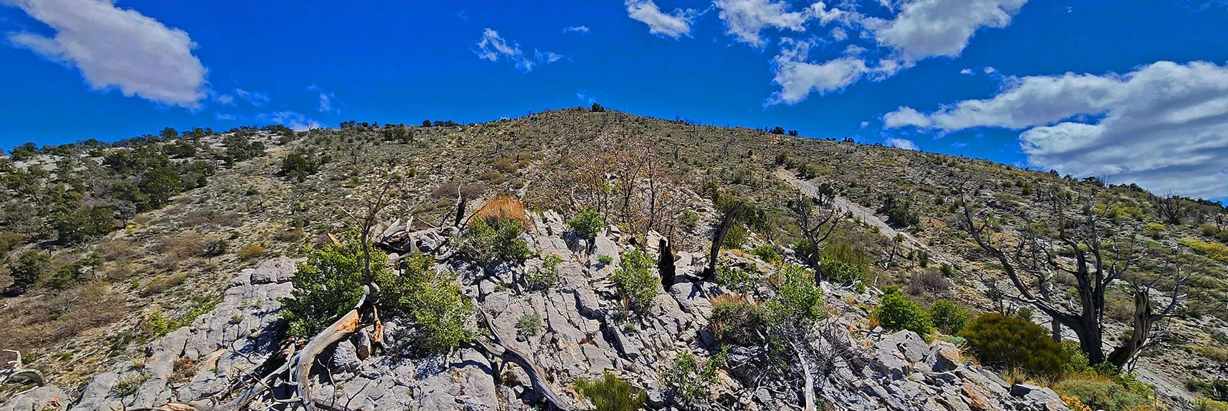View Back to Burnt Peak While Descending Its Ridgeline | El Bastardo Peak | La Madre Mountains Wilderness, Nevada