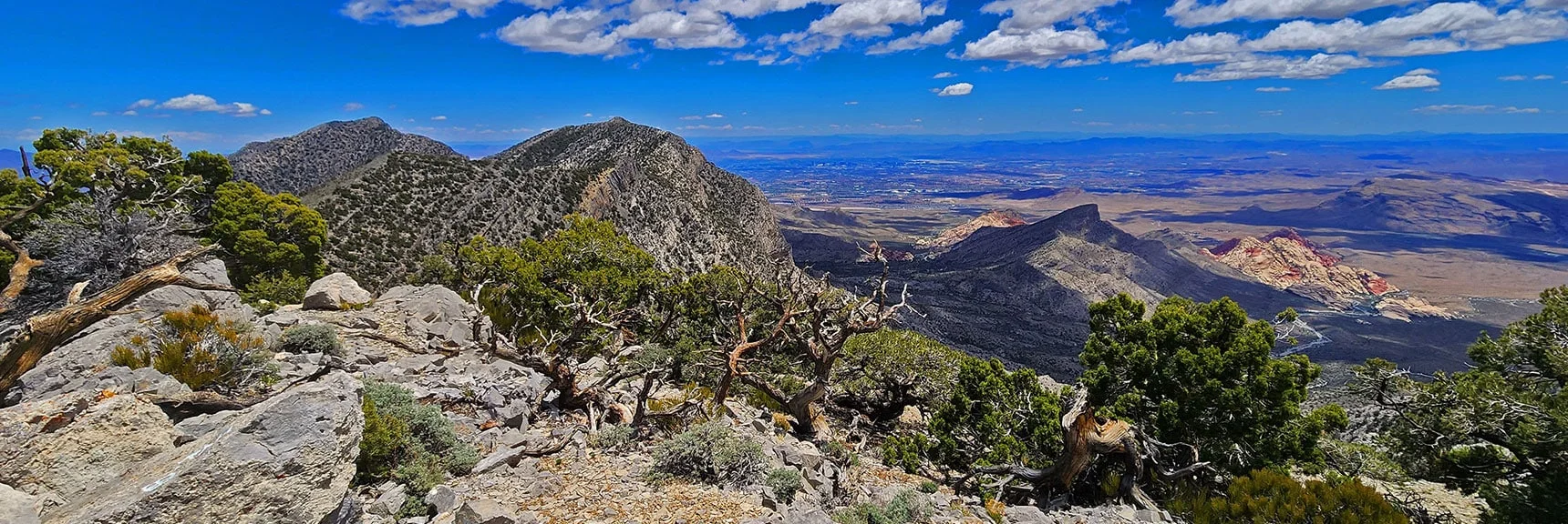 Turtlehead Peak & Calico Hills Below in Red Rock Canyon | El Bastardo Peak | La Madre Mountains Wilderness, Nevada