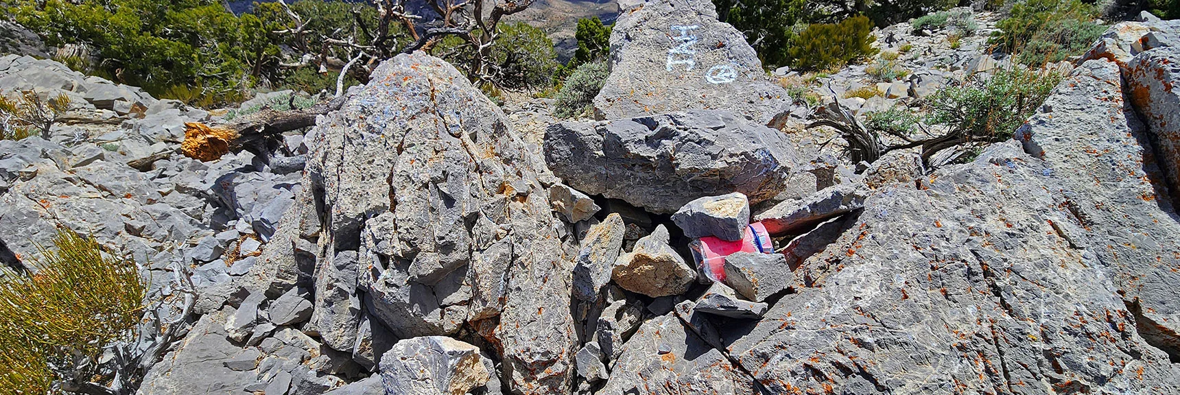 El Bastardo Summit Jar. No Elaborate Box on This Seldom Visited Summit! | El Bastardo Peak | La Madre Mountains Wilderness, Nevada