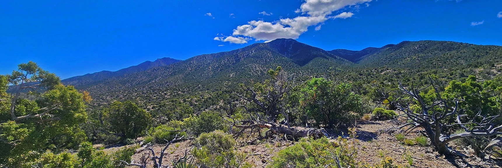El Bastardo Peak Appears Once on Approach Ridge | El Bastardo Peak | La Madre Mountains Wilderness, Nevada