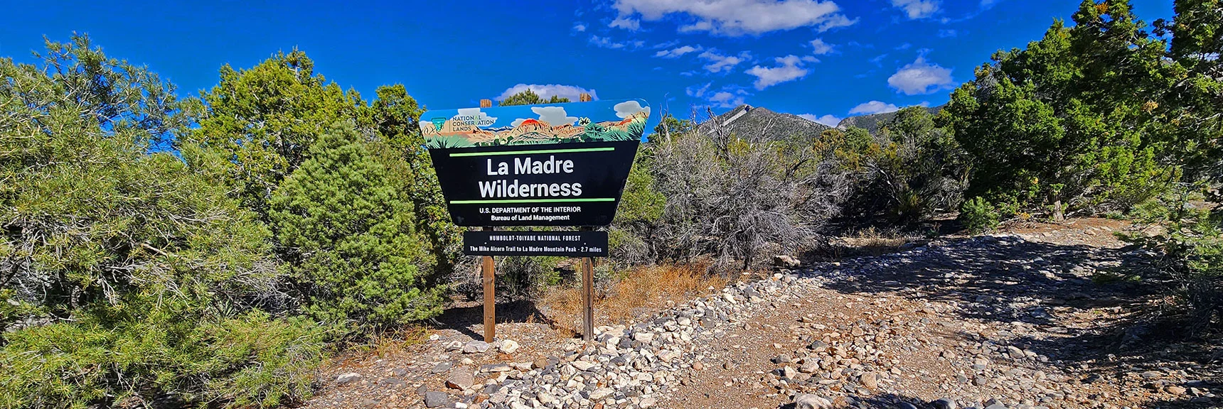 Now Back on La Madre Mt. Approach Rd. There's an Awesome Campground Here! | El Bastardo Peak | La Madre Mountains Wilderness, Nevada