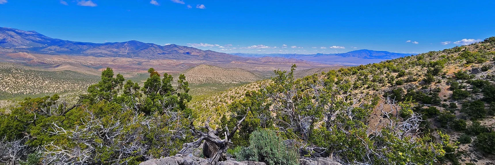 Tip of Sheep Range Visible to the Northeast. | El Bastardo Peak | La Madre Mountains Wilderness, Nevada