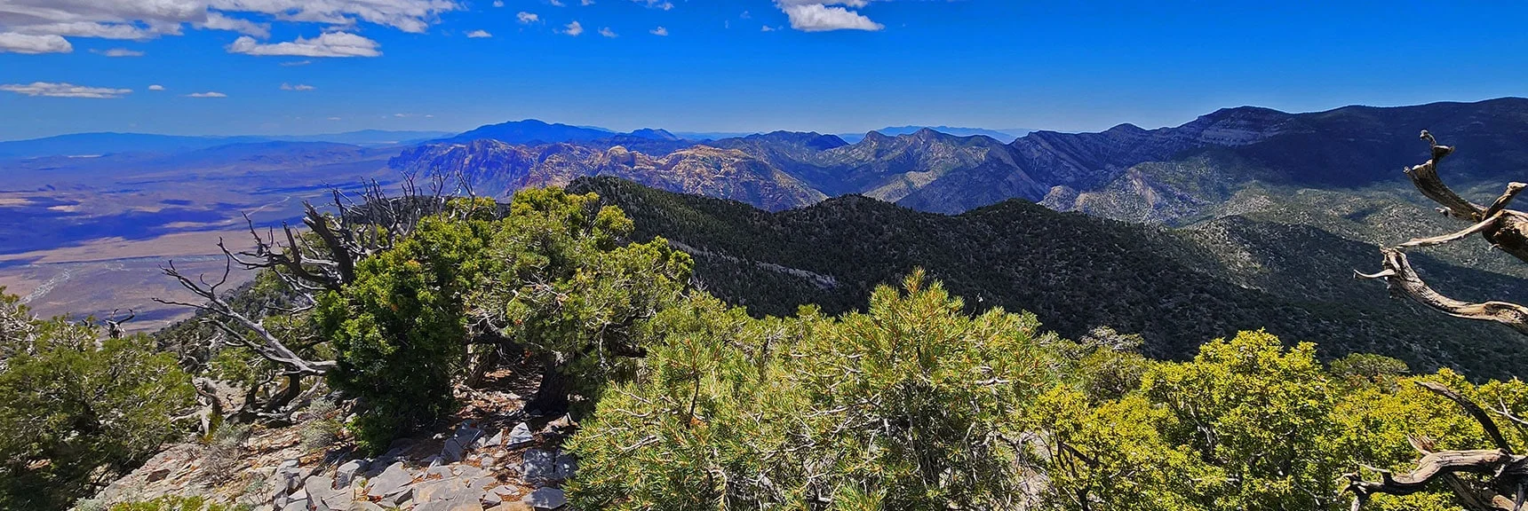 Rainbow Mts. with La Madre Ridgeline (foreground); Potosi Mt. (background). | El Bastardo Peak | La Madre Mountains Wilderness, Nevada