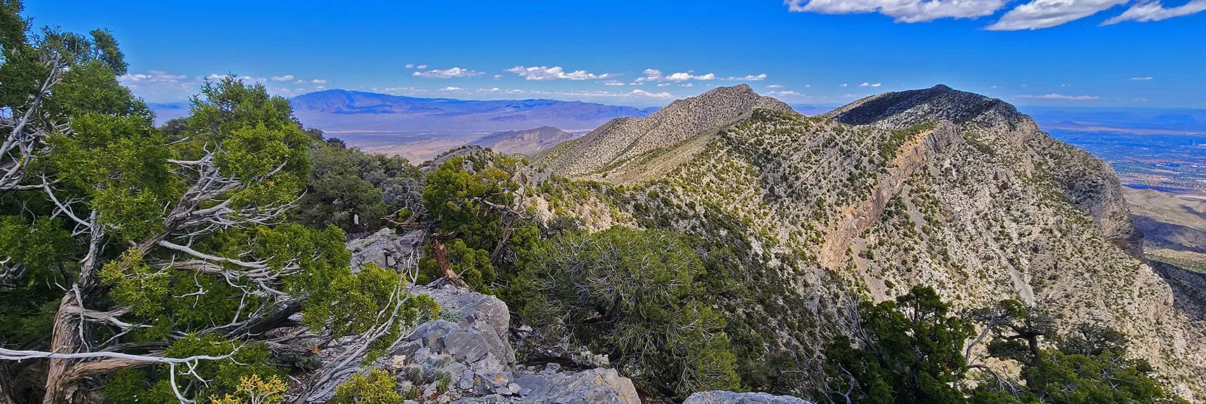 Burnt Peak, El Padre & La Madre Peaks Ahead on La Madre Ridgeline | El Bastardo Peak | La Madre Mountains Wilderness, Nevada
