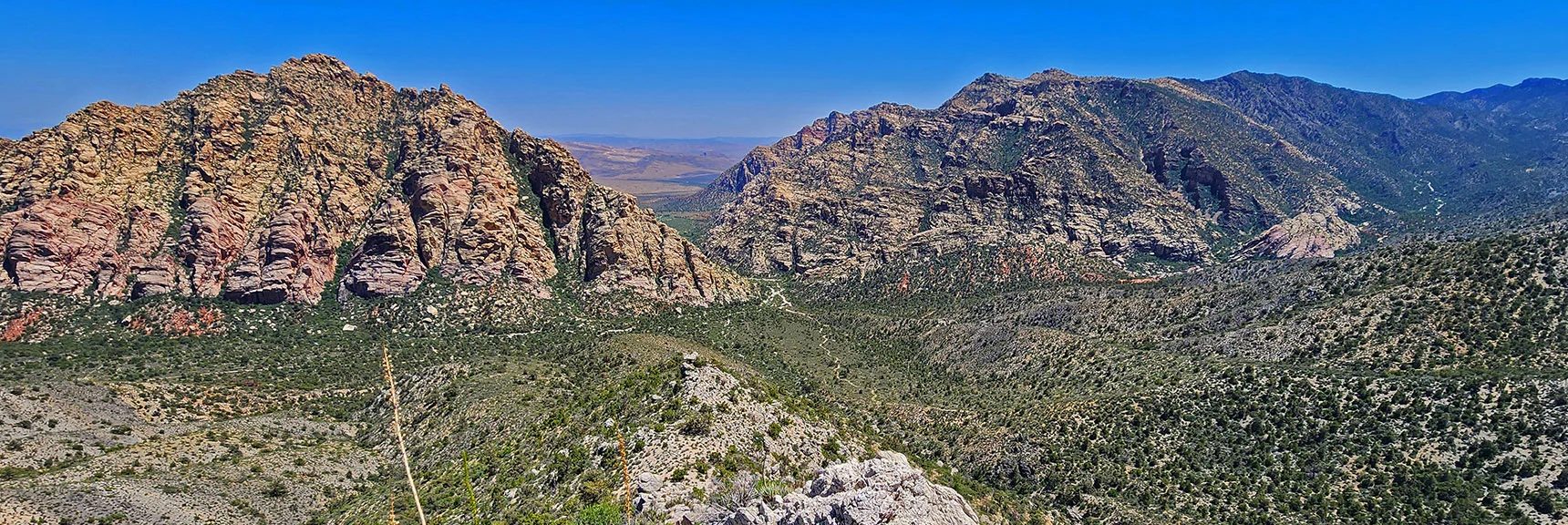 Continuing Descent Ridge Toward Willow Spring Area. | La Madre Springs West Ridge Loop | La Madre Mountains Wilderness, Nevada