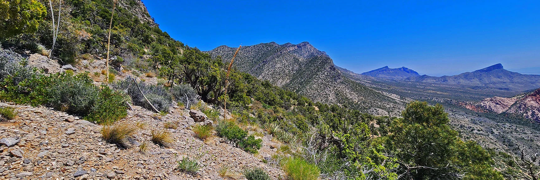 View East to La Madre Ridgeline. Damsel & Turtlehead Peaks Border East & West Brownstone Basin. | La Madre Springs West Ridge Loop | La Madre Mountains Wilderness, Nevada