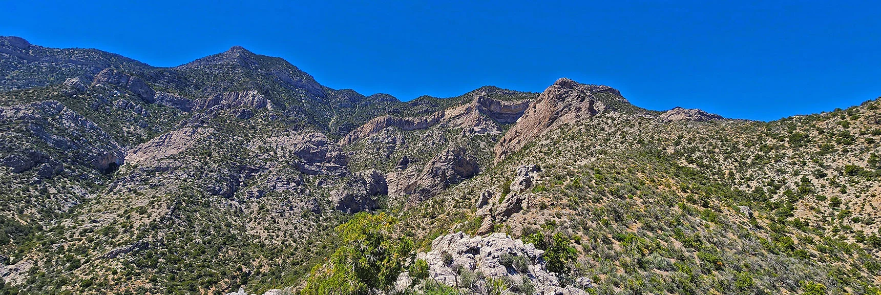 View Back Up Descent Ridgeline. Survey Possible Passages Through La Madre Cliffs Above. | La Madre Springs West Ridge Loop | La Madre Mountains Wilderness, Nevada