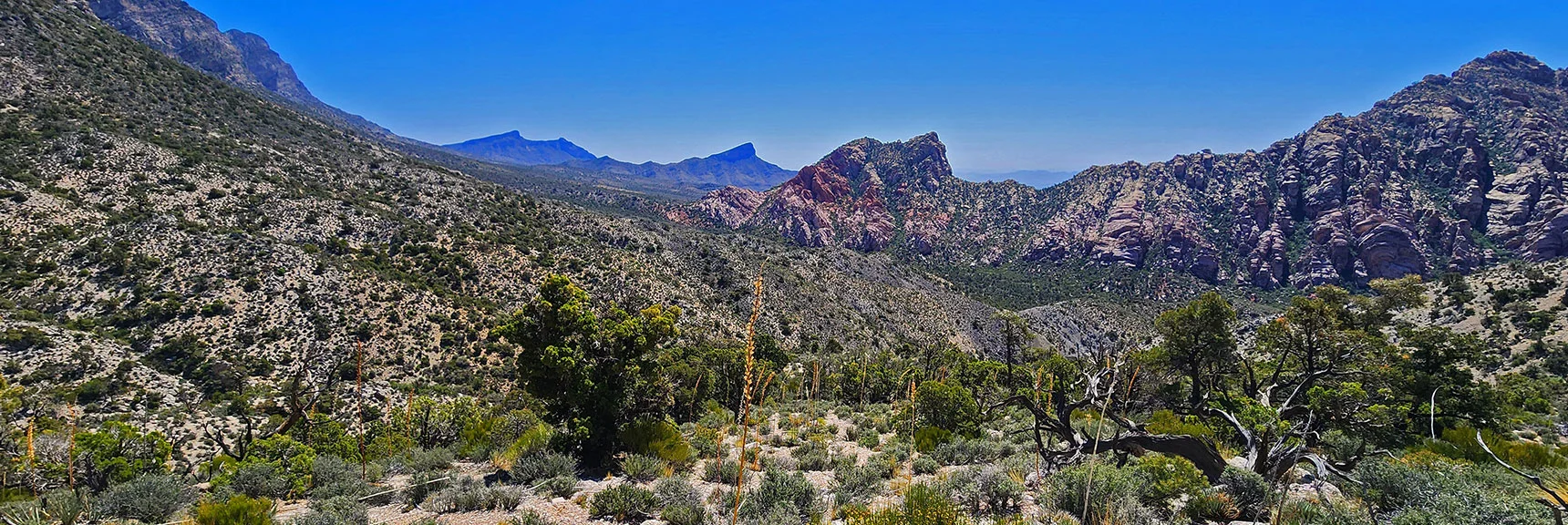 View Quickly Expands As You Ascend Ridgeline Toward Cliffs Above. | La Madre Springs West Ridge Loop | La Madre Mountains Wilderness, Nevada