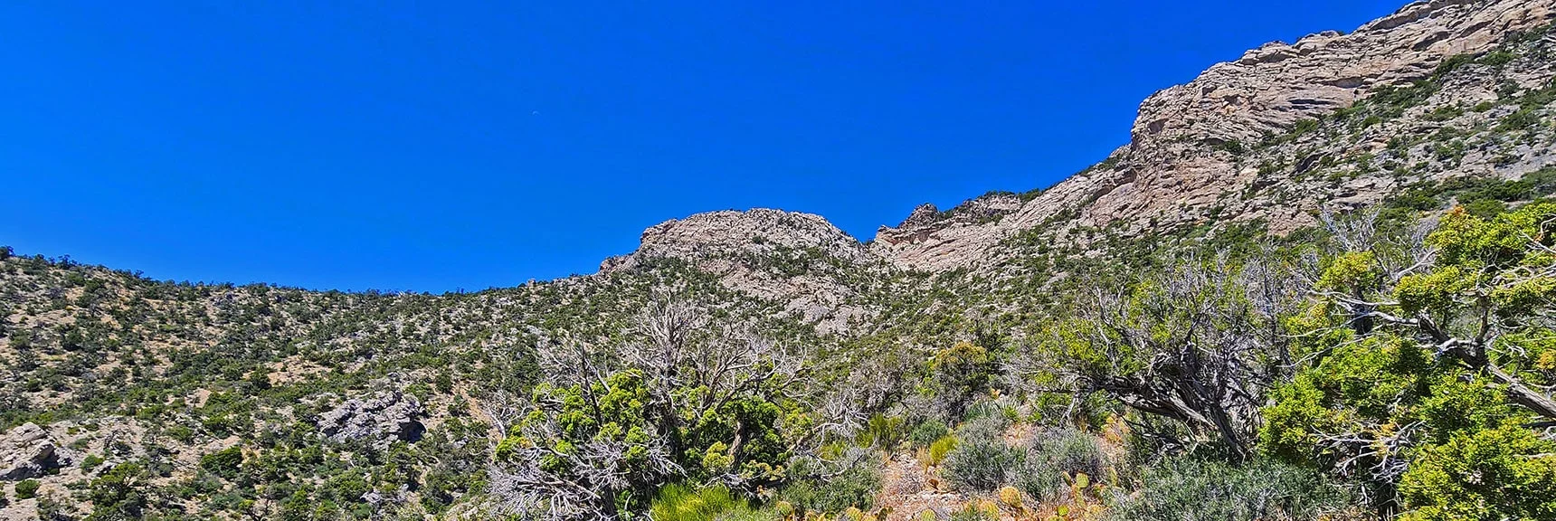 Begin Skirting Cliff Base. Stay High to Cross 3-4 Approach Ridges & Gullies. | La Madre Springs West Ridge Loop | La Madre Mountains Wilderness, Nevada
