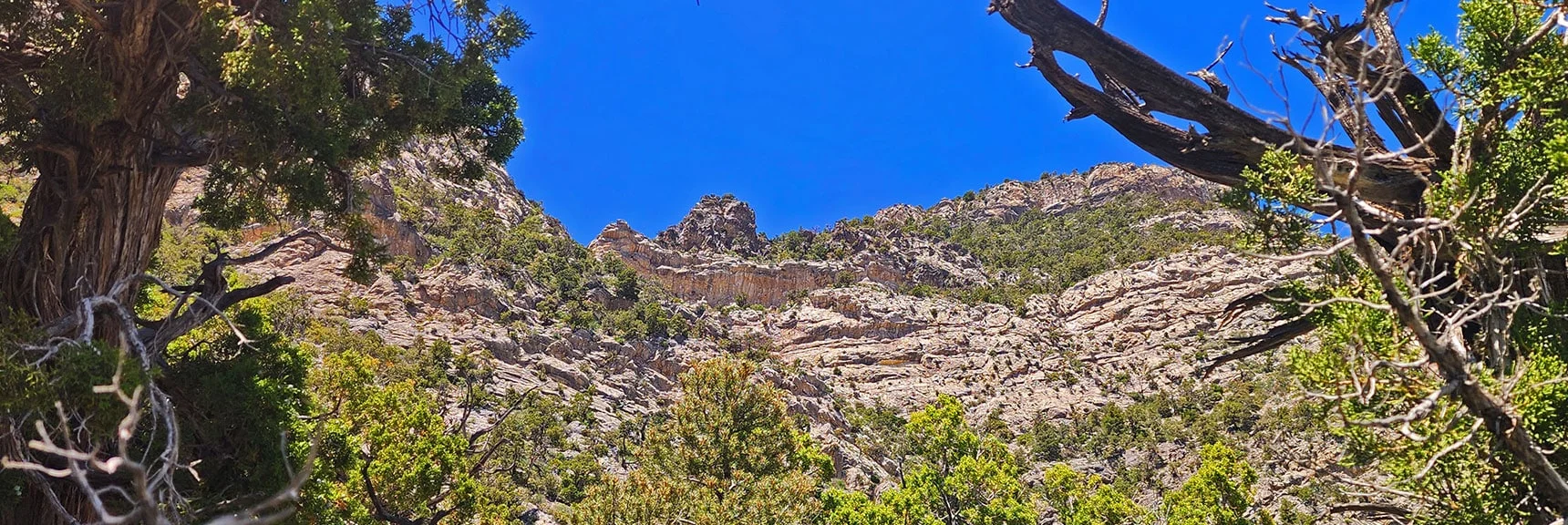Possible Class 3 Rock Scramble Through Cliffs Above? | La Madre Springs West Ridge Loop | La Madre Mountains Wilderness, Nevada