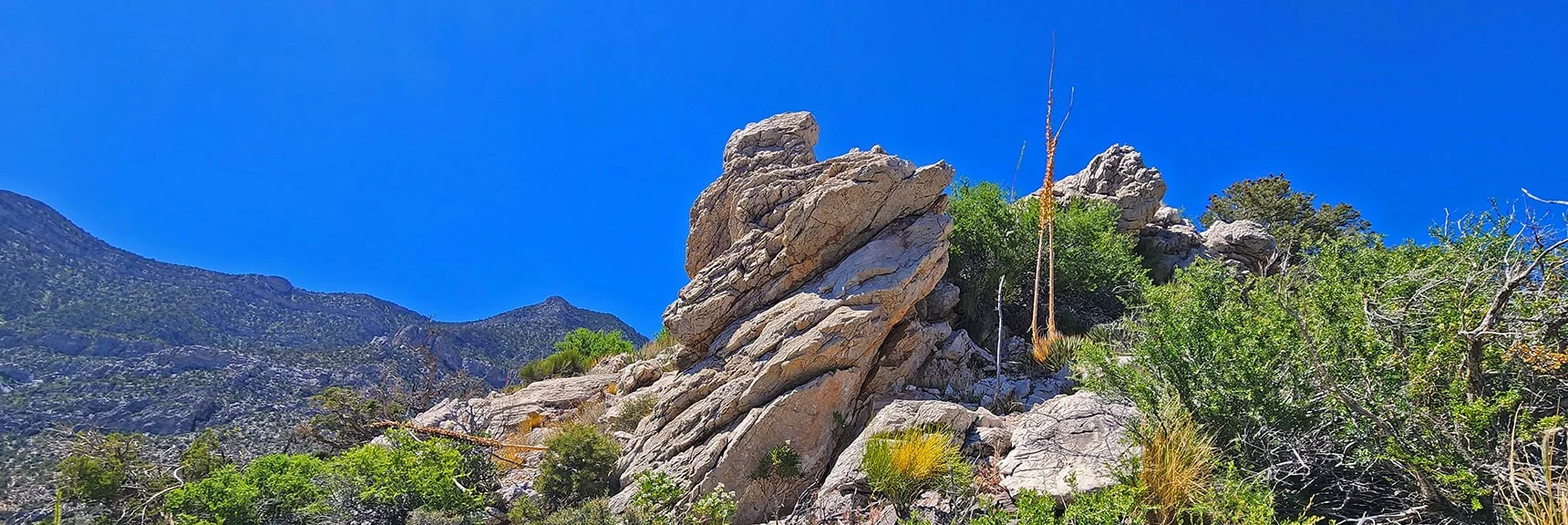 One of Several Class 3 Rock Scrambles While Descending Ridgeline. | La Madre Springs West Ridge Loop | La Madre Mountains Wilderness, Nevada