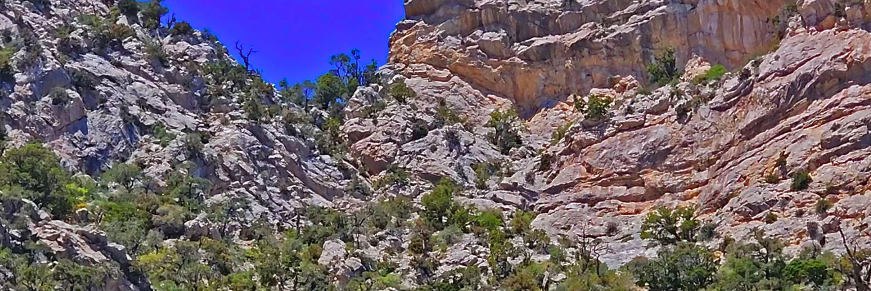 Possible Class 3 Rock Scramble Through Cliffs Above? Future Exploration. | La Madre Springs West Ridge Loop | La Madre Mountains Wilderness, Nevada