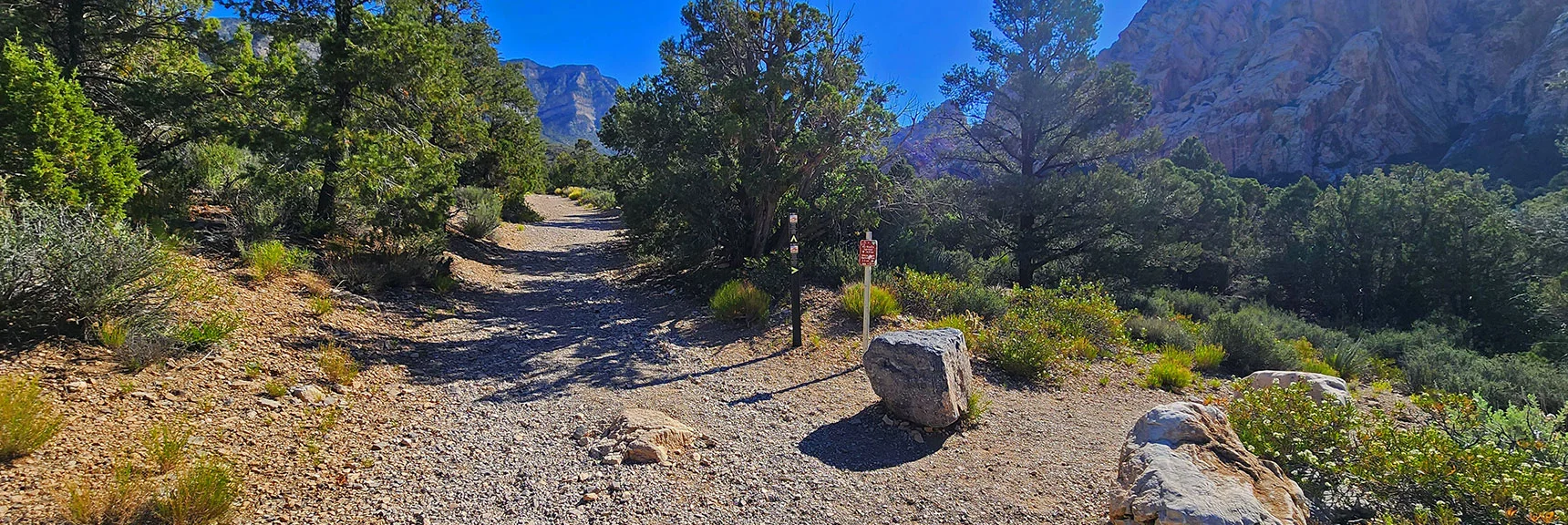 Continue Straight Past Where White Rock Mt. Loop Trail Splits to Right | La Madre Springs West Ridge Loop | La Madre Mountains Wilderness, Nevada
