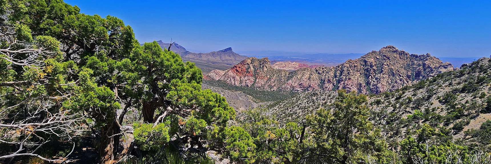 Quick Access to High Altitude Forests and Spectacular Views! | La Madre Springs West Ridge Loop | La Madre Mountains Wilderness, Nevada