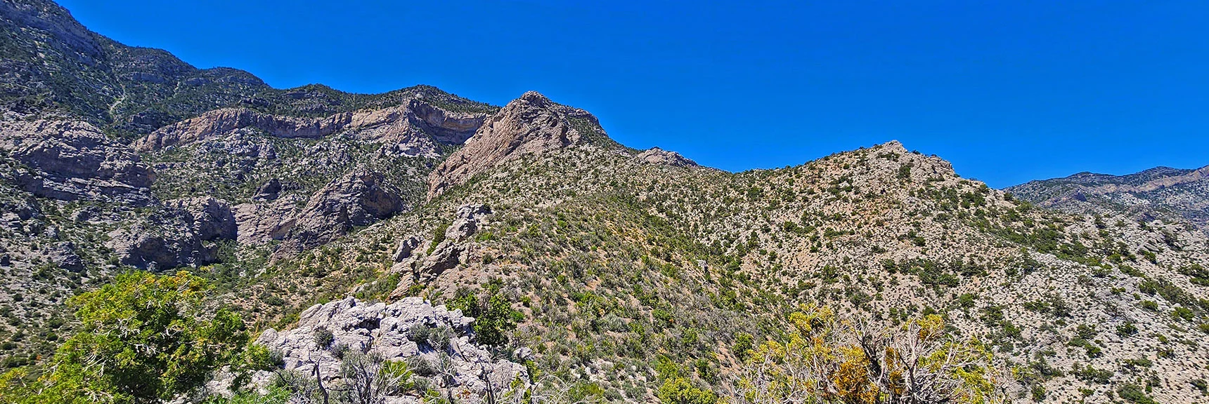 View Back Up Descent Ridgeline. A Few Scattered Rock Scrambles on the Way Down. | La Madre Springs West Ridge Loop | La Madre Mountains Wilderness, Nevada