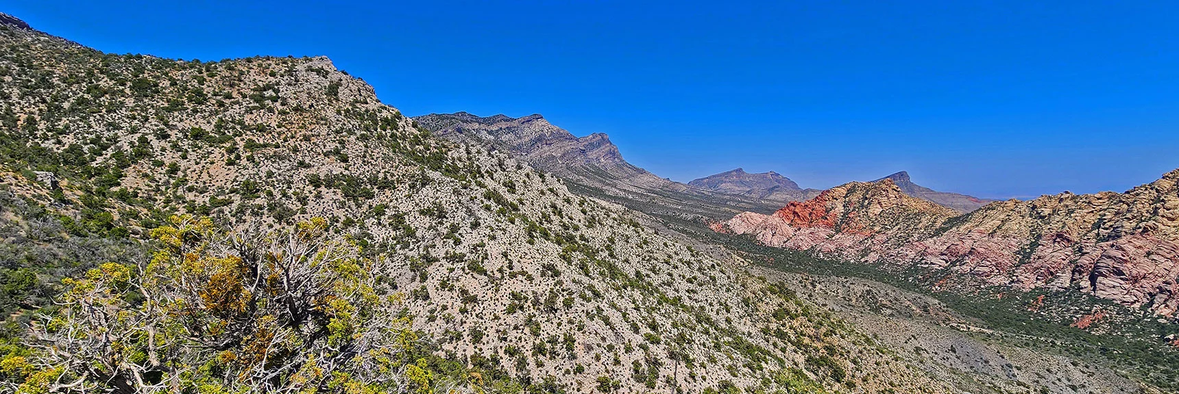 View Back East: Note Many Gradual Descent Ridgelines. | La Madre Springs West Ridge Loop | La Madre Mountains Wilderness, Nevada