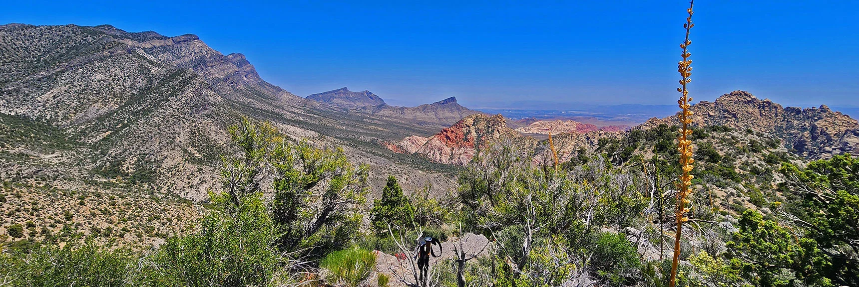 View Back East to La Madre Ridgeline, Brownstone Basin, Red Rock Canyon | La Madre Springs West Ridge Loop | La Madre Mountains Wilderness, Nevada