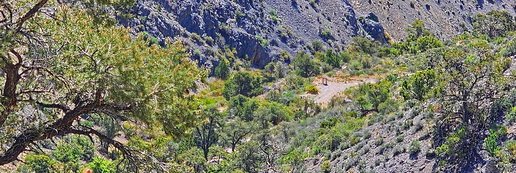 View Back Down Ridge to Base of La Madre Springs Gulch. | La Madre Springs West Ridge Loop | La Madre Mountains Wilderness, Nevada