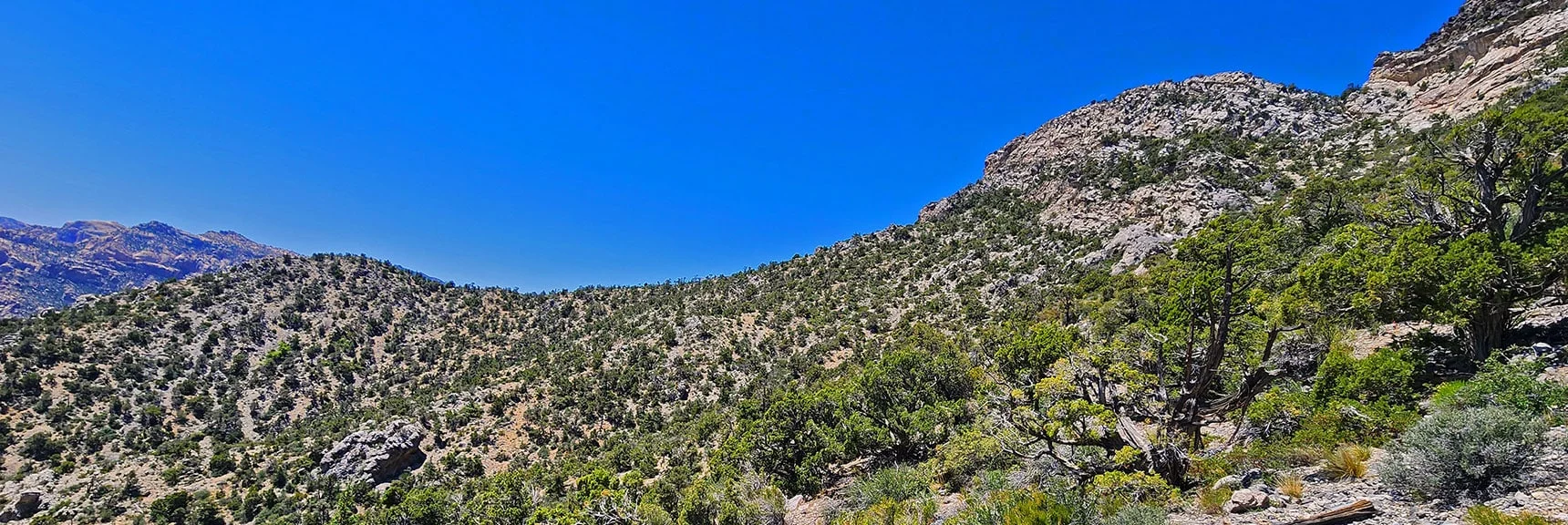 Shoot for the Highest Approach Ridgeline. Note Potential Passage Through Cliffs. | La Madre Springs West Ridge Loop | La Madre Mountains Wilderness, Nevada
