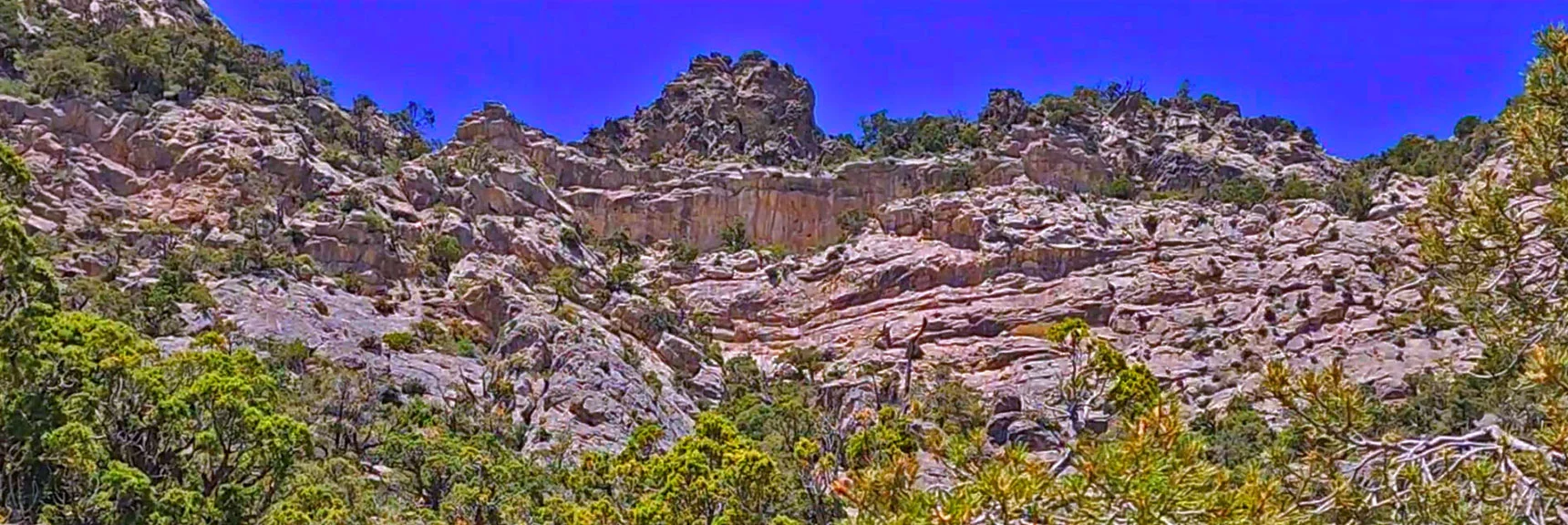 Possible Class 3 Rock Scramble Through Cliffs Above? | La Madre Springs West Ridge Loop | La Madre Mountains Wilderness, Nevada