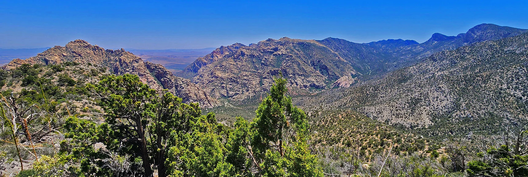 Continue Over Highest Approach Ridge, Then Down an Adjoining Ridgeline | La Madre Springs West Ridge Loop | La Madre Mountains Wilderness, Nevada