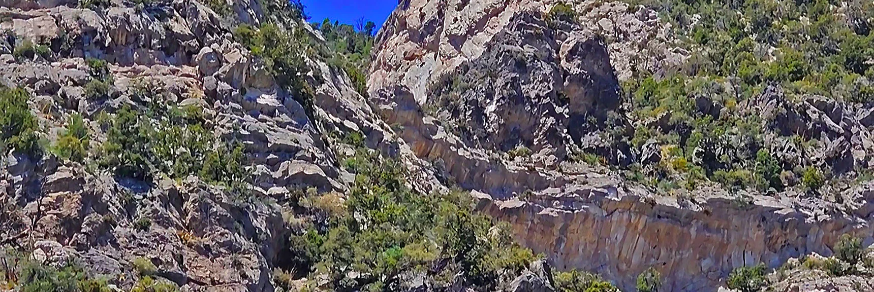 Possible Class 3 Rock Scramble Through Cliffs Above? | La Madre Springs West Ridge Loop | La Madre Mountains Wilderness, Nevada