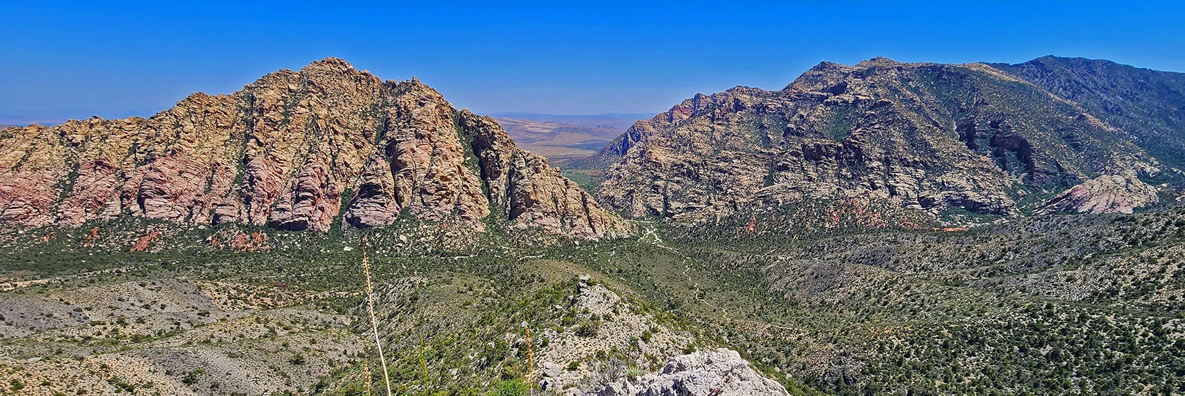 Midway Down Descent Ridge Toward White Rock Mt. & Willow Spring Starting Point. | La Madre Springs West Ridge Loop | La Madre Mountains Wilderness, Nevada