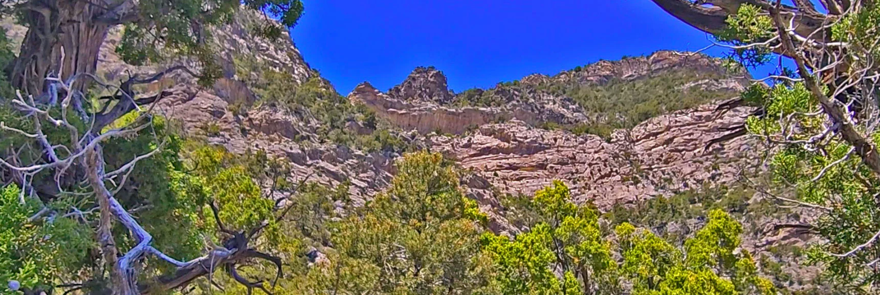 Possible Class 3 Rock Scramble Through Cliffs Above? | La Madre Springs West Ridge Loop | La Madre Mountains Wilderness, Nevada