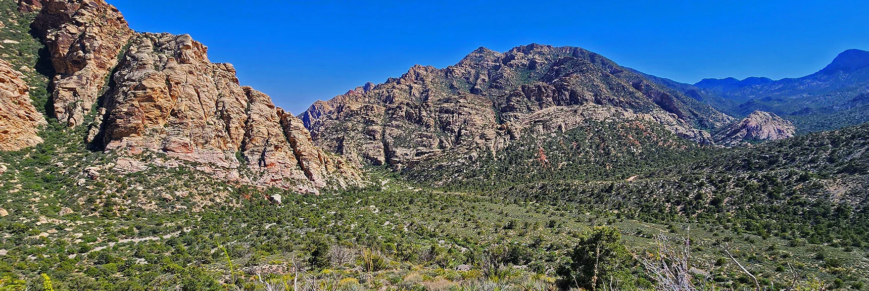 Approaching Base of Descent Ridgeline. Lands Back on White Rock Mt. Loop Trail Below. | La Madre Springs West Ridge Loop | La Madre Mountains Wilderness, Nevada