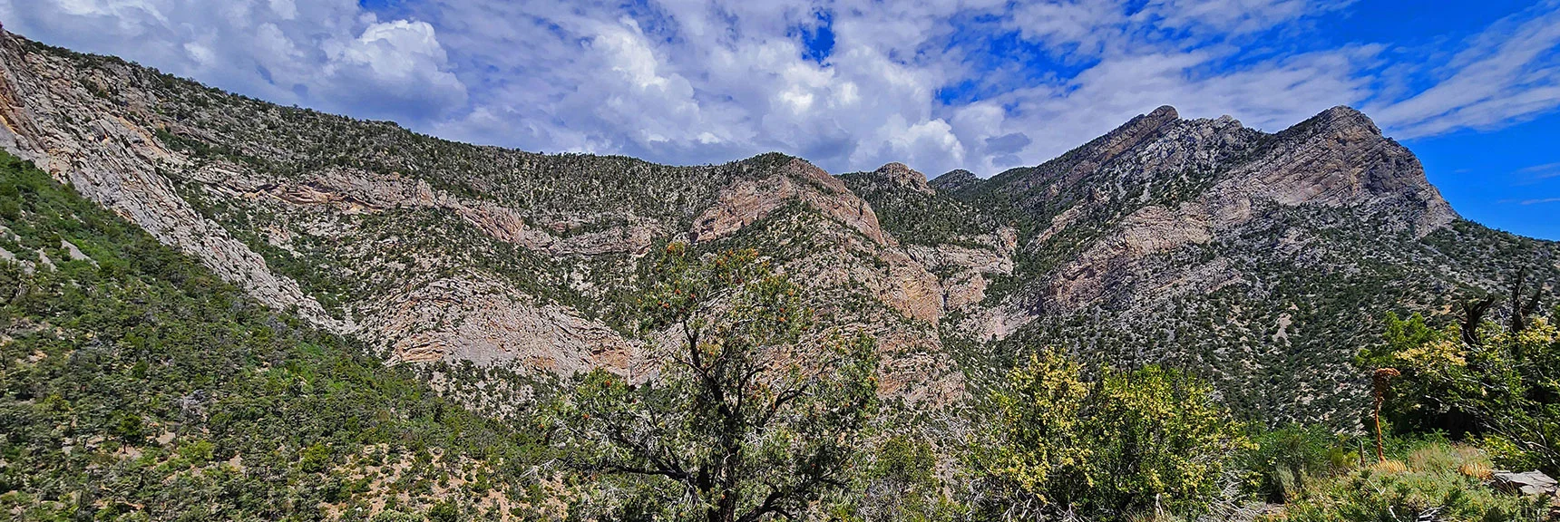 North Loop Circles Behind High Peaks, Then on to La Madre Ridgeline | Switchback Spring Loops Intro | La Madre Mountains Wilderness, Nevada