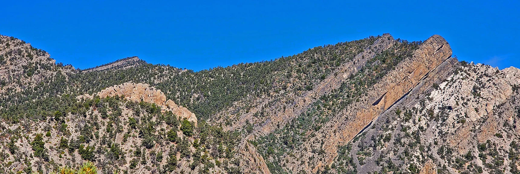 North Loop Circles Behind Cliffs, Then Right Turn onto La Madre Ridgeline | Switchback Spring Loops Intro | La Madre Mountains Wilderness, Nevada