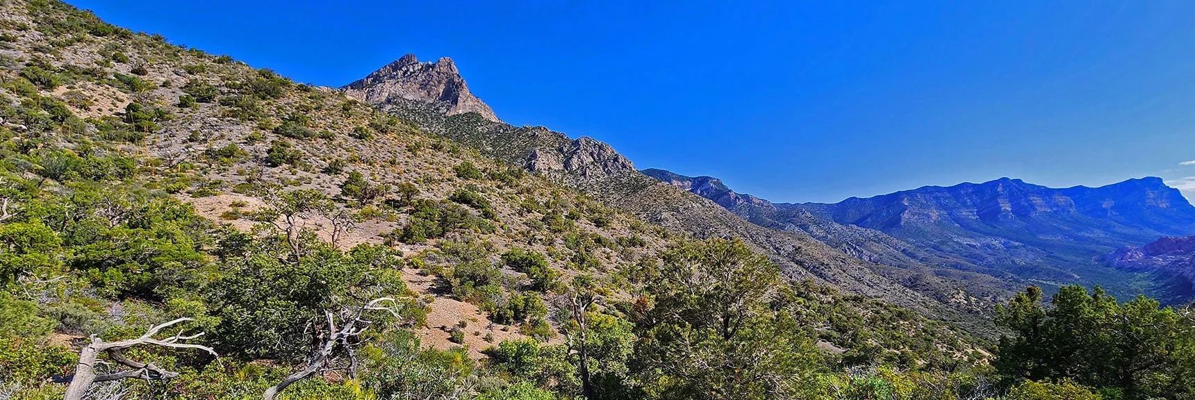 Ascending Access Ridge. 1st Slides Show Summit View. | Switchback Spring Loops Intro | La Madre Mountains Wilderness, Nevada
