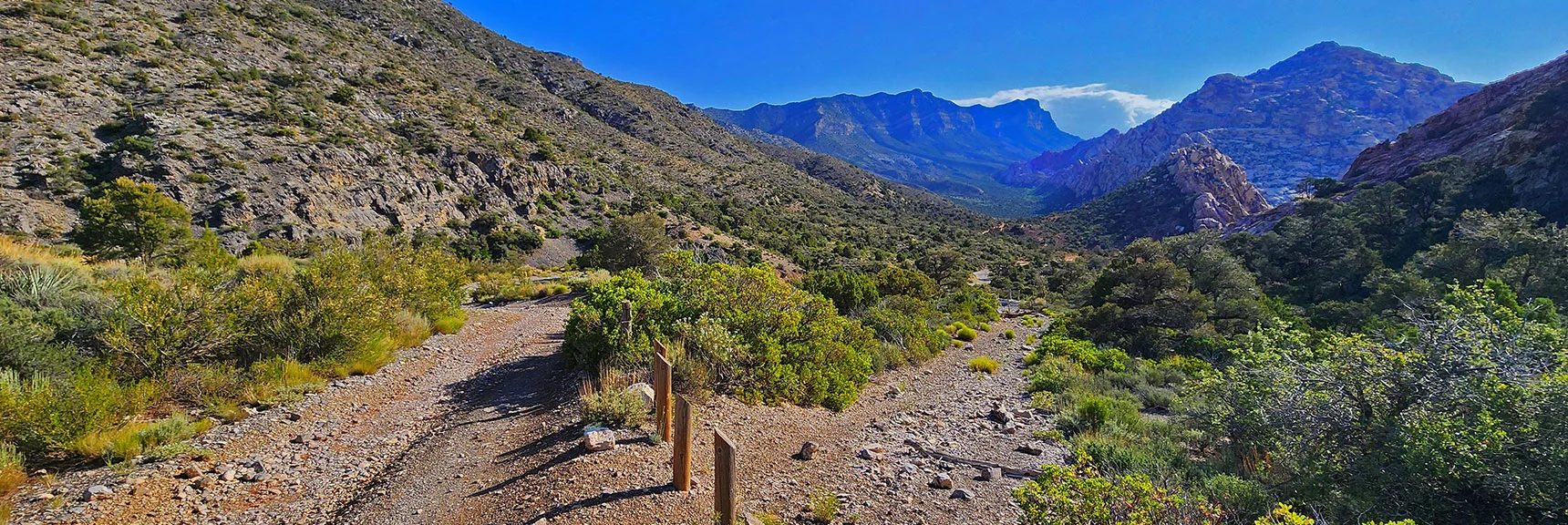 Access Ridge is Just Past Hiker's Shortcut Near 2-mile Point (view back). | Switchback Spring Loops Intro | La Madre Mountains Wilderness, Nevada