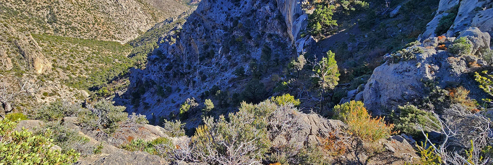 View Down Access Channel from Its Summit Area | Switchback Spring Loops Intro | La Madre Mountains Wilderness, Nevada