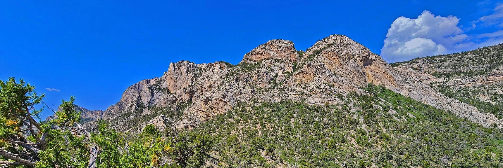 South Loop Summits Bulbs on Right Continuing to the Rocky Gap | Switchback Spring Loops Intro | La Madre Mountains Wilderness, Nevada