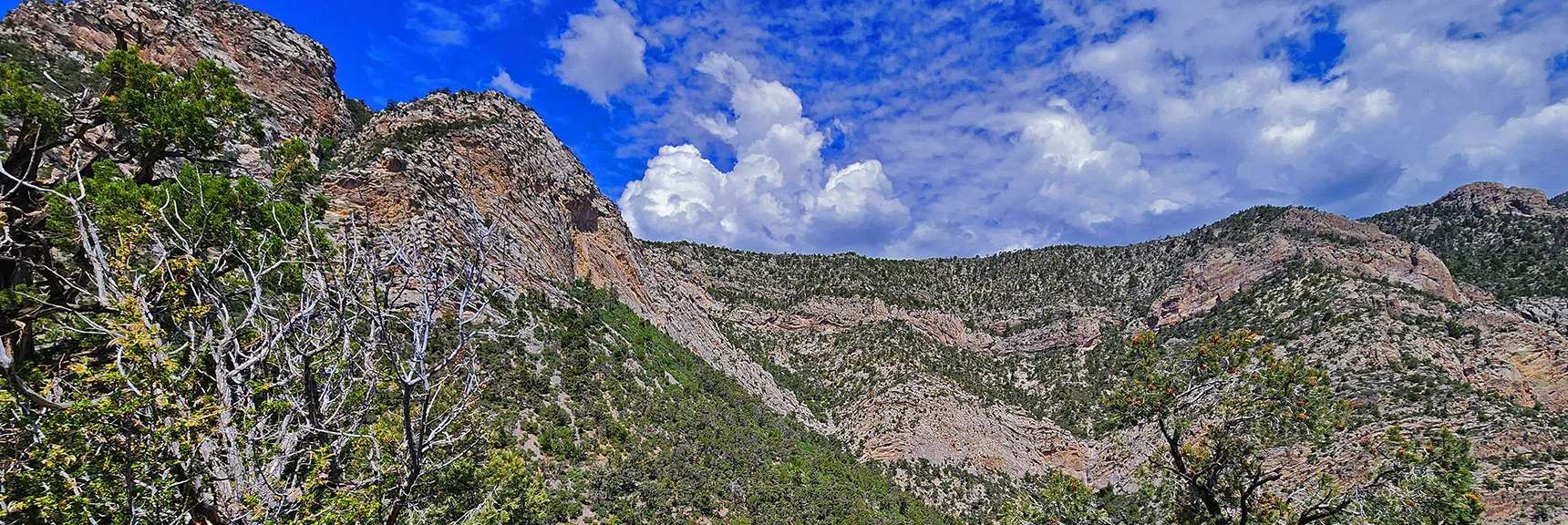 Ascent Channel to the Wilson Ridgeline Behind Right Side of Bulb Formation | Switchback Spring Loops Intro | La Madre Mountains Wilderness, Nevada