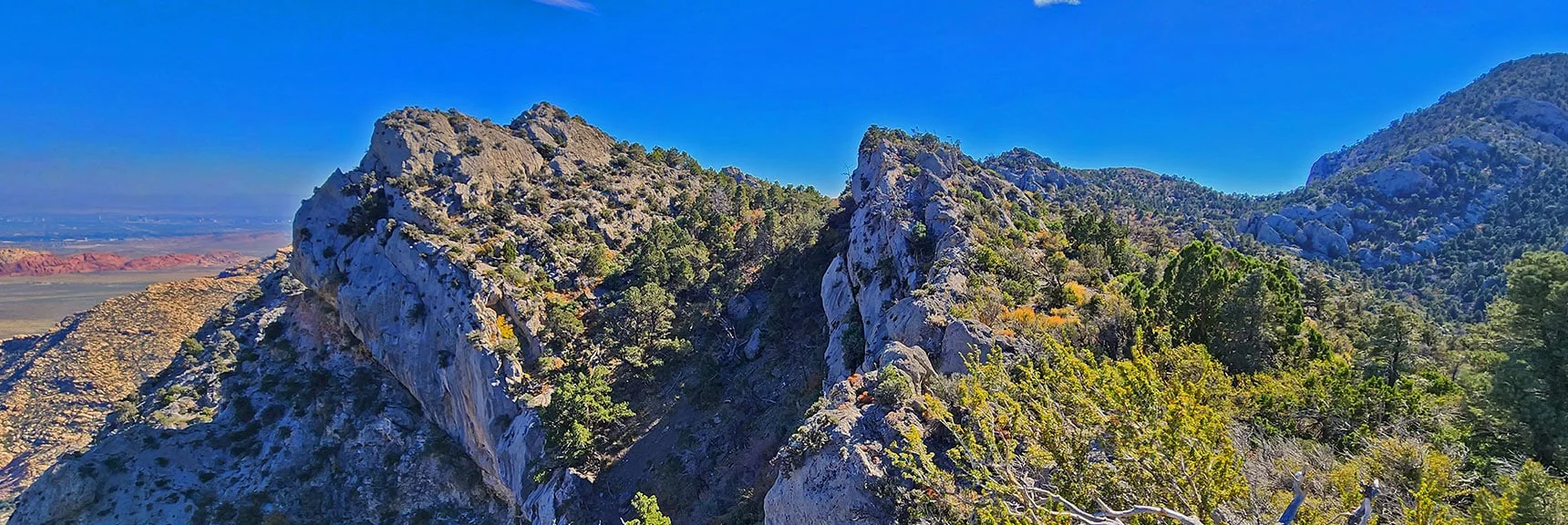 Access Channel Viewed from Wilson Ridge Above. Between Rocky High Points. | Switchback Spring Loops Intro | La Madre Mountains Wilderness, Nevada