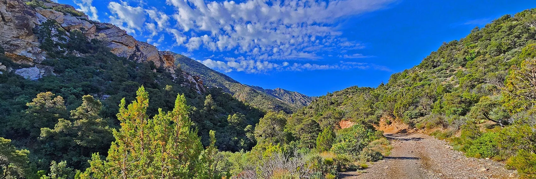Circle Behind Base of Access Ridge (right), Then Ascend | Switchback Spring Loops Intro | La Madre Mountains Wilderness, Nevada