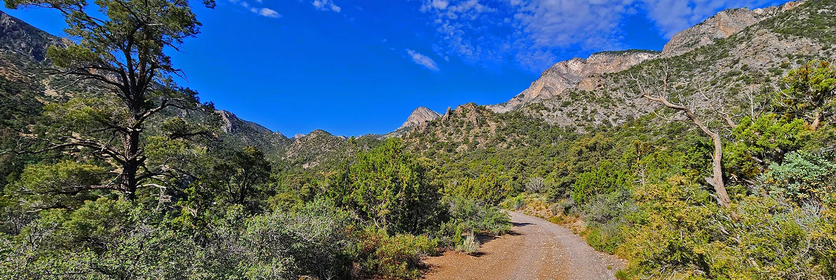 Continue Up Rocky Gap Road Toward Wilson Ridge Access Ridge | Switchback Spring Loops Intro | La Madre Mountains Wilderness, Nevada